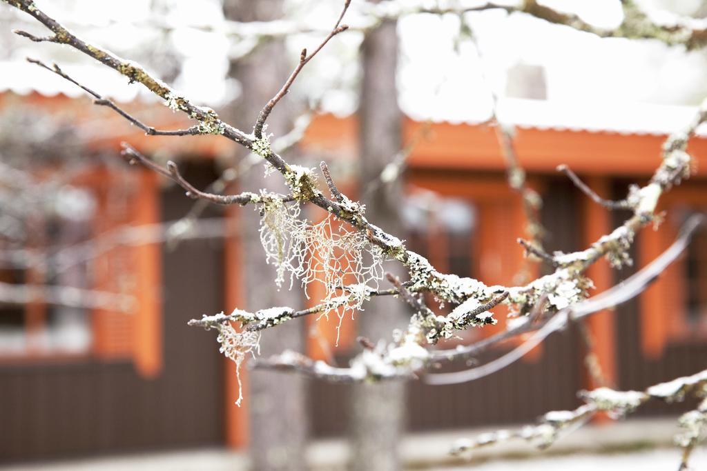 Saariselkae Inn Majatalo Panimo Dış mekan fotoğraf